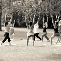 Yoga & Spa Retreats, Corporate Wellness Programs, Day Retreats, Holistic. Wellness Workshops